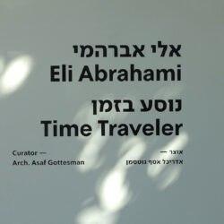 אלי אברהמי