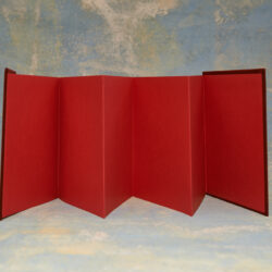 display253